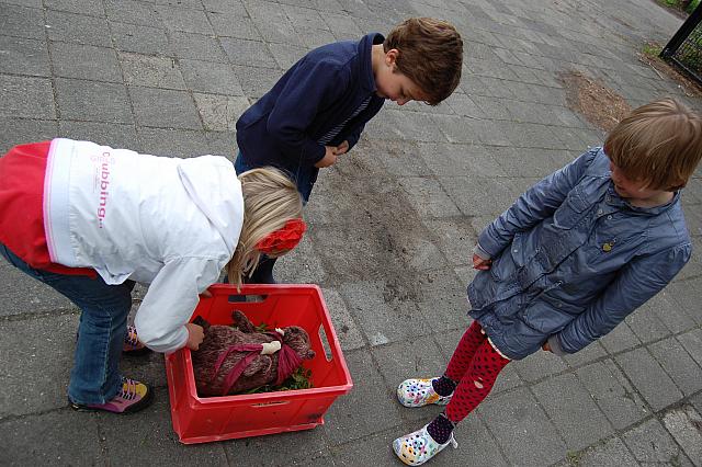 Ook Ot de bever krijgt een zacht bedje